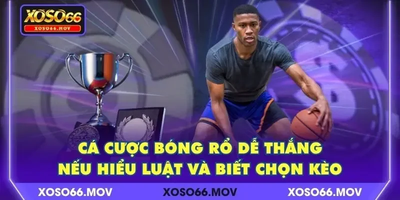 Cá Cược Bóng Rổ Dễ Thắng Nếu Hiểu Luật Và Biết Chọn Kèo