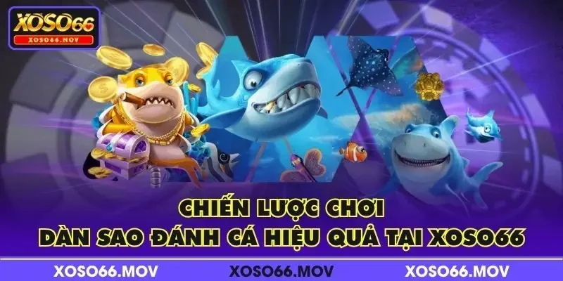 Chiến lược chơi Dàn Sao Đánh Cá hiệu quả tại XOSO66
