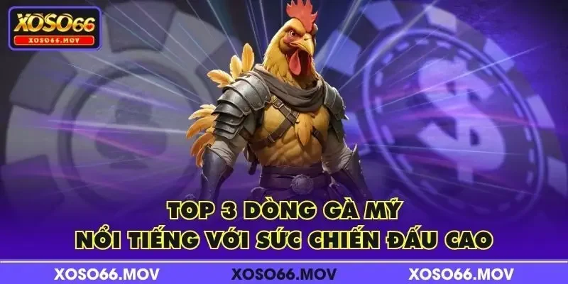 Top 3 dòng gà Mỹ nổi tiếng với sức chiến đấu cao